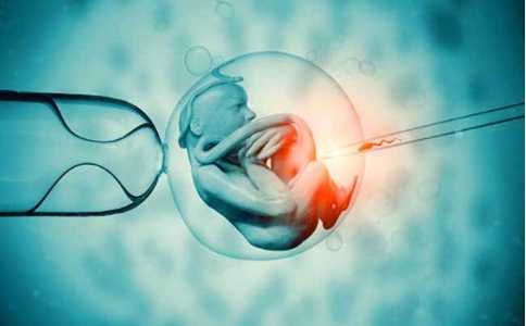 武汉借卵供卵试管生子的步骤 2024武汉协和医院做三代试管筛查一个胚胎要多少