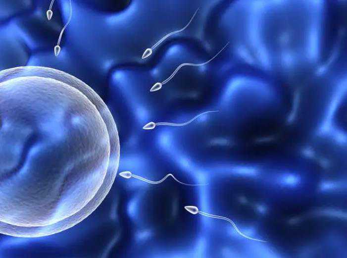 武汉供卵公司有哪些 在武汉做试管婴儿胚胎移植的操作过程是怎样的? ‘孕16周